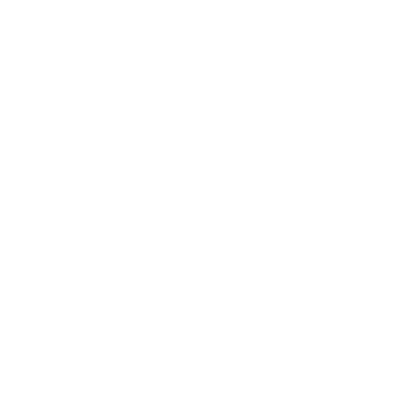 Shebbel Protection Services Logo WHITE